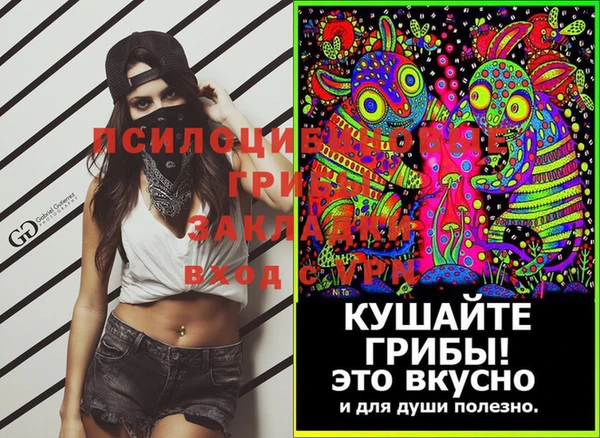 ешки Михайлов
