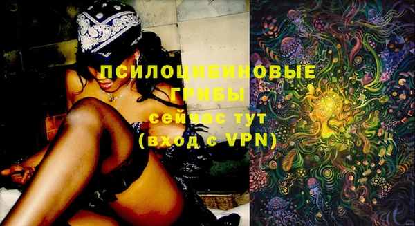 PSILOCYBIN Михайловка