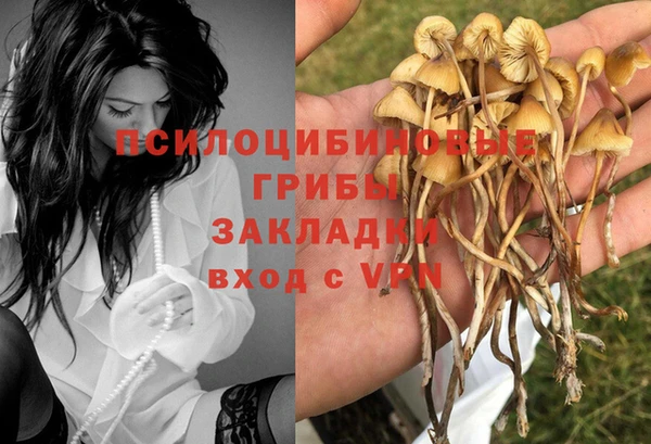ешки Михайлов